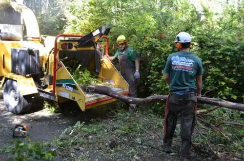 tree services Berwyn